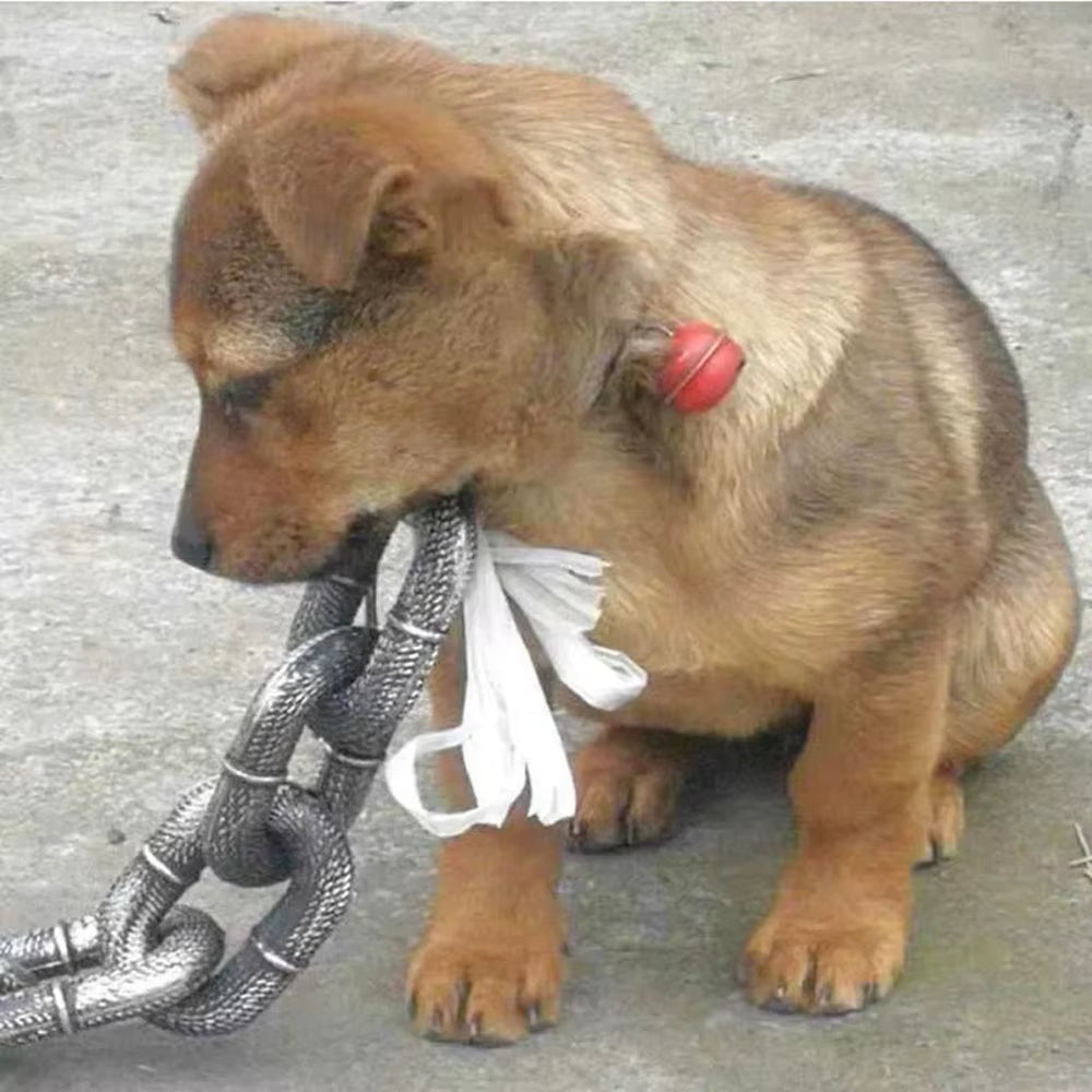 Funny Dog Leashes Plastic Simulation Life-Like Iron Chain for Medium Small Dogs Pet Puppy Cat Accessories Halloween Pet Supplies